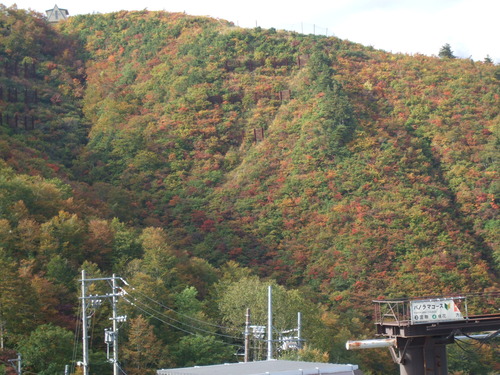 2007_1017��������0036