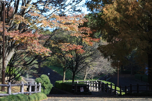 小田原〜板橋 (71)