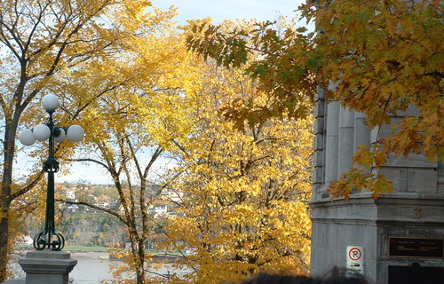 2005_1020첽ٻΥե०0040