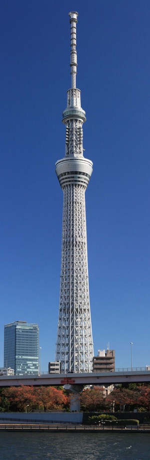 ���Υ������ĥ꡼