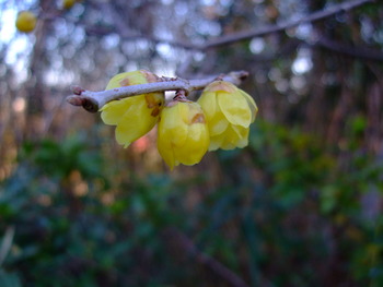 2012_0107syougatu0019