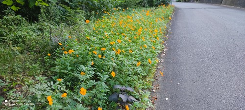 IMG_20200820_171543