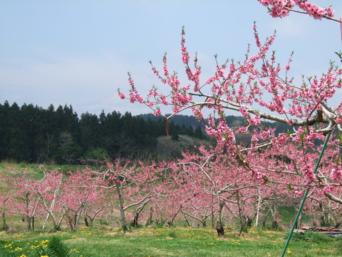 2007_0509¿®½£0125