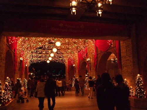 2007_1211�ǥ��ˡ�����0055
