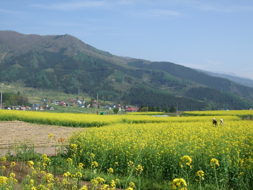 2007_0509¿®½£0149