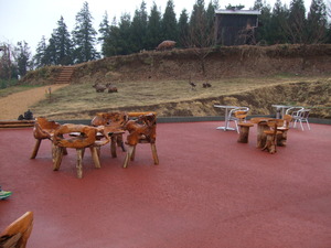 2012_0206���󥹥���ѥ���0014