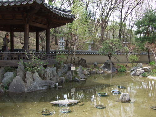 2008_0405三つ池のさくら0038