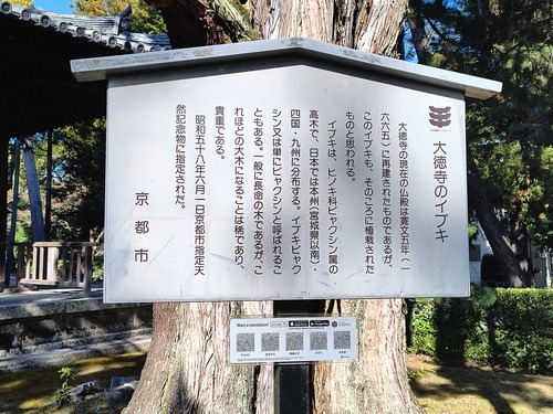 IMG_20260316_152023920_HDR