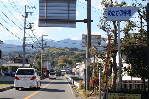 ���ĸ����Ķ� (25)