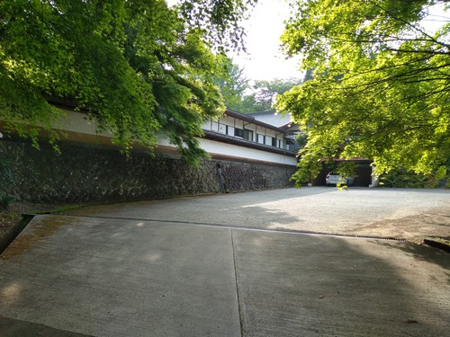 IMG_20200512_160104_BEAUTY