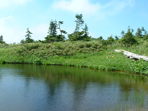 DSCF0040