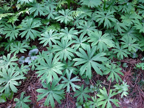 IMG_20200512_155112_BEAUTY