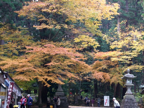 2007_1202¹ä»Ë¾»»Òº§Ìó0056