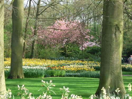 2007_0417オランダ0633