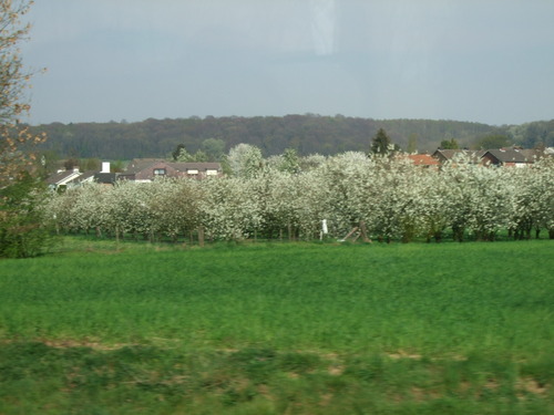2007_0417オランダ0512