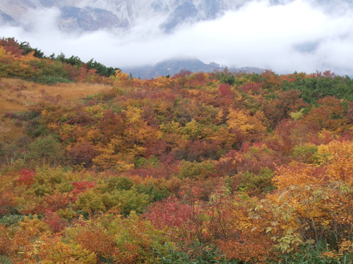 2007_1017白馬栂池0078