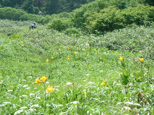 DSCF0044