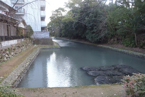 DSCF5401