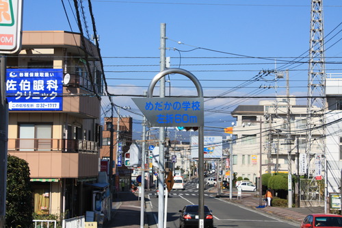 ���ĸ����Ķ� (24)