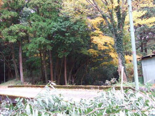 2007_1202¹ä»Ë¾»»Òº§Ìó0017