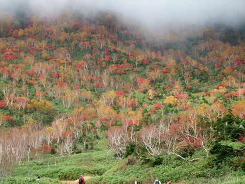 2007_1017��������0177