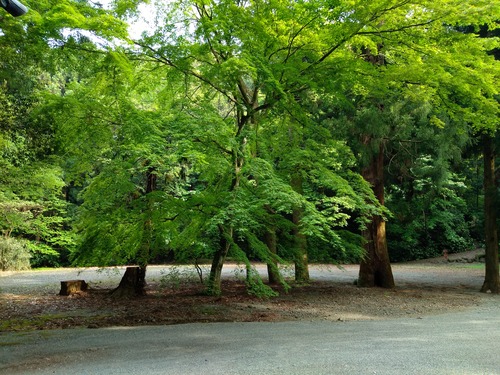 IMG_20200512_155854_BEAUTY