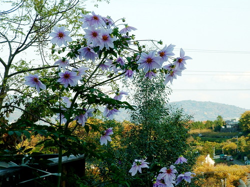 2007_1202Ƴλºµ¢¤êGH0059