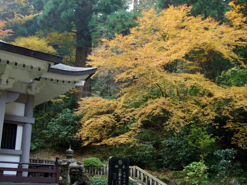 2007_1202¹ä»Ë¾»»Òº§Ìó0087