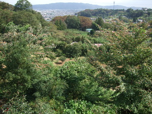 2011_1003�뤫��0002