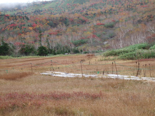 2007_1017��������0145