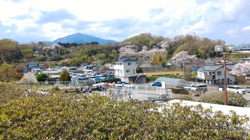 P_20200406_121615(1)