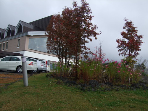 2007_1017��������0227