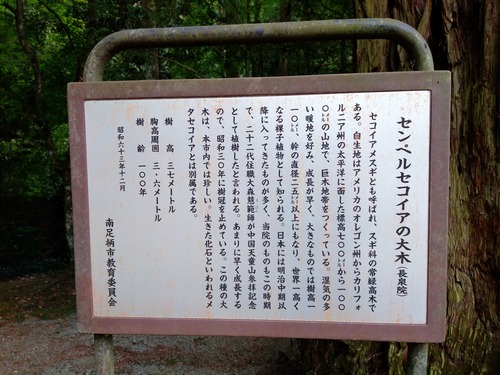 IMG_20200512_160950_BEAUTY