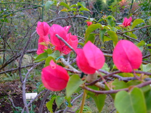 2010_1201���β�0008