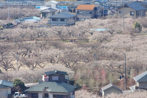 IMG_4279