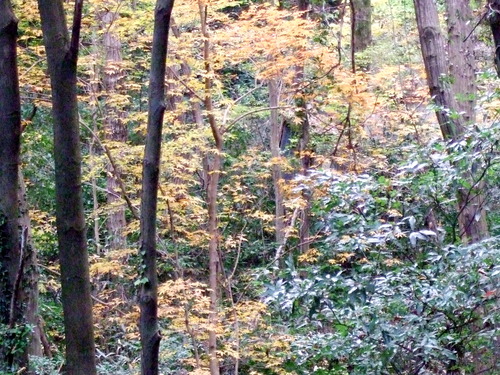 2007_1202¹ä»Ë¾»»Òº§Ìó0013