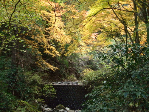 2007_1202¹ä»Ë¾»»Òº§Ìó0088