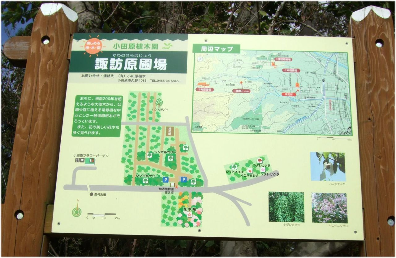 小田原散歩ー７ 久野一号古墳 花咲かすおじさん