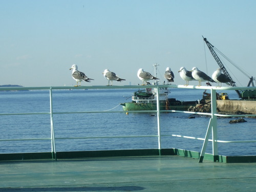 2008_0218Æî˼Áí0105