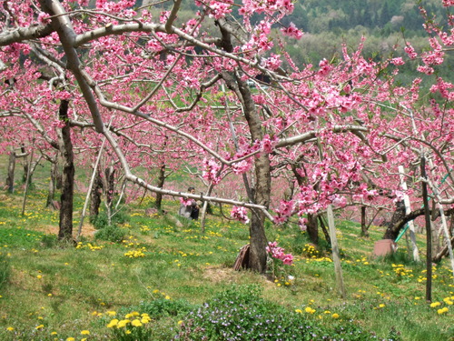 2007_0509¿®½£0128