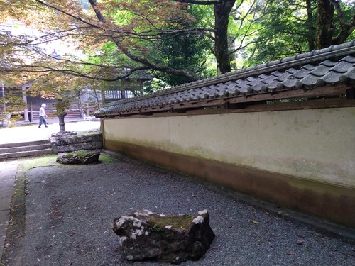 IMG_20200512_160329_BEAUTY