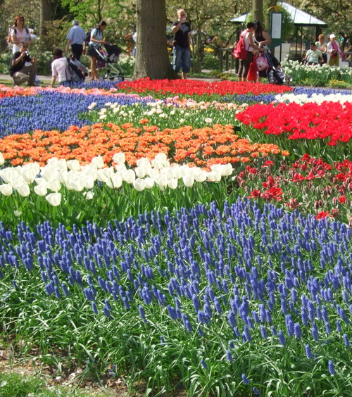 2007_0417オランダ0602