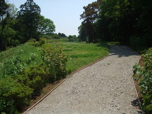 2012_0513河村城0081