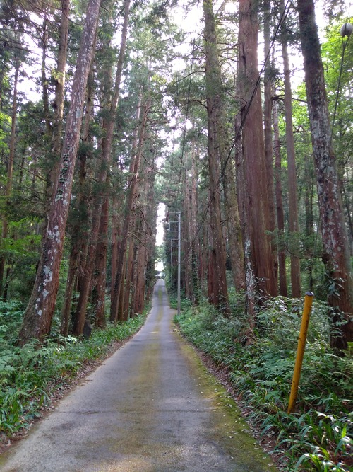 IMG_20200512_154942_BEAUTY