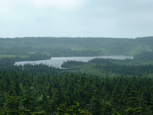 DSCF0036