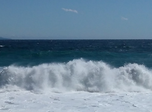 IMG_20211026_112443-1