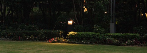 ����ߥ͡������