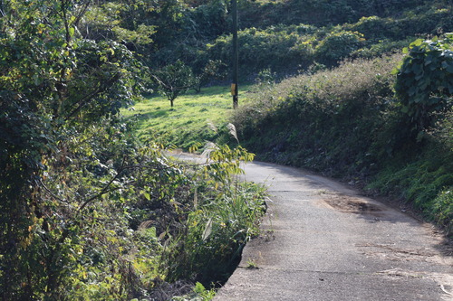 小田原〜板橋 (83)
