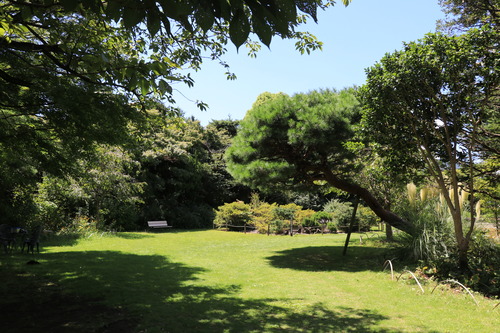 IMG_9546 - ���ԡ�