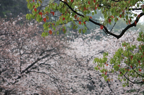 IMG_2622syuusei